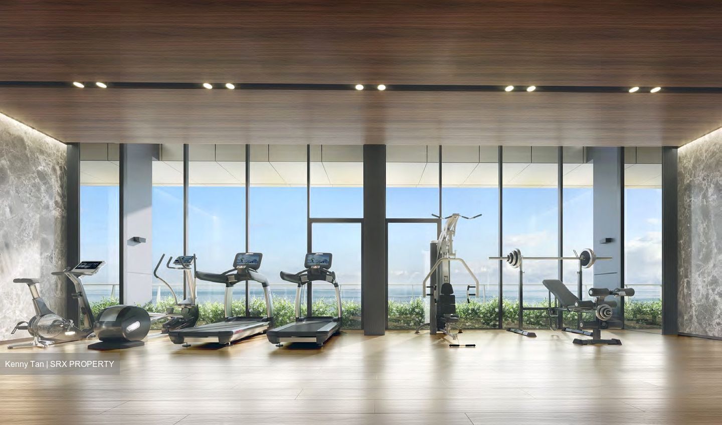 Newport Residences (D2), Apartment #517360791